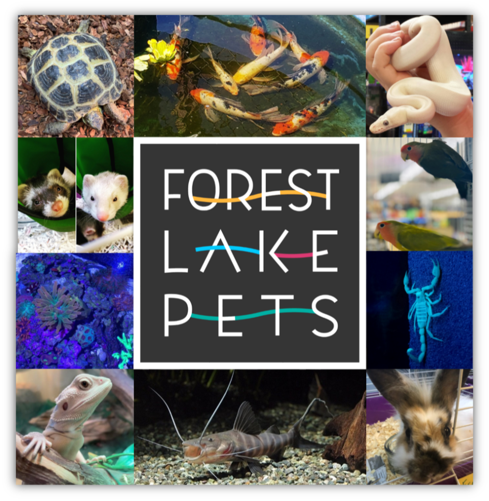 LIMITED TIME DEAL – Forest Lake Pets
